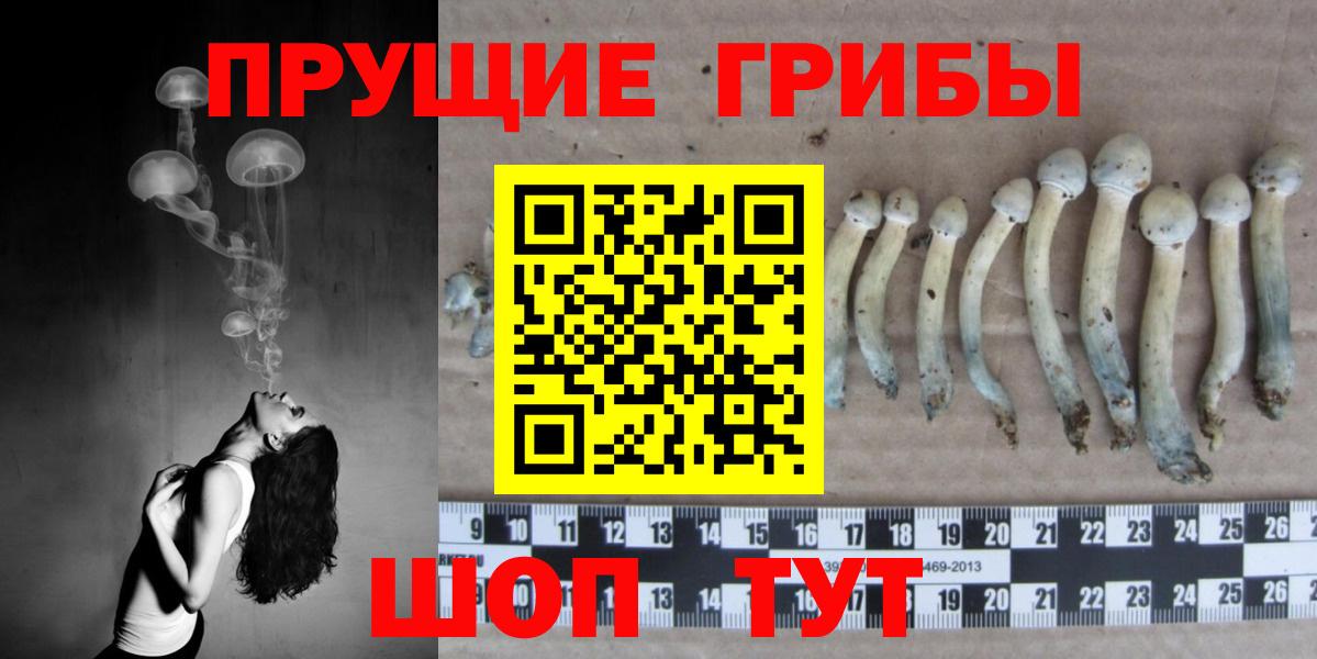 Псилоцибиновые грибы GOLDEN TEACHER Канск